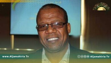 حويلي: ثمة خلافات سياسية بين وفدي النوب والدولة بالقاهرة حول بعض المواد الدستورية تجرى مفاوضات بشأنها