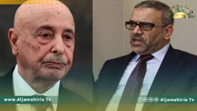 فشل لقاء عقيلة والمشري بالقاهرة...لهذه الأسباب 