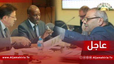 وليامز: لجنة الصياغة تعمل الآن على وضع اللمسات الأخيرة والصياغة اللازمة