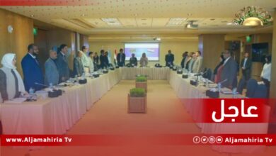 عضو لجنة المسار الدستوري