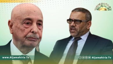 ننشر تفاصيل الهوية الوطنية الليبية التي تضمنها مشروع القاعدة الدستورية