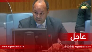 مندوب بريطانيا لدى مجلس الأمن