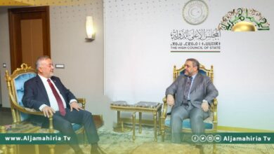 المشري يناقش مع السفير التركي الانسداد السياسي