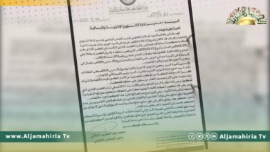 الخارجية تطالب بالإسراع في تنفيذ أحكام قضائية تجنبا لرفع قضايا ضد مسؤولين