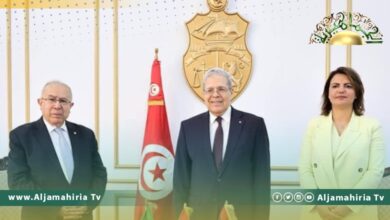 وزراء خارجية مصر وتونس والجزائر يرحبون بتوافقات بلدانهم حول القضايا