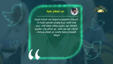 نصية: التوافق حول مشروع وطني أفضل من البحث عن نجاحات مزيفة