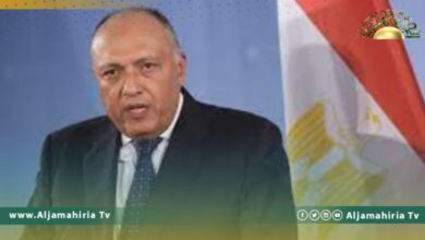 مصر تشكو إثيوبيا لمجلس الأمن الدولي بشأن البدء في الملء الثالث لـ سد النهضة