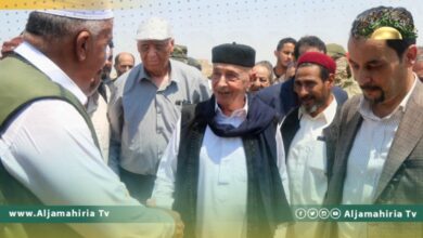 عقيلة صالح: التدخلات الخارجية حالت دون إجراء الانتخابات والبرلمان مستعد لتعديل القوانين