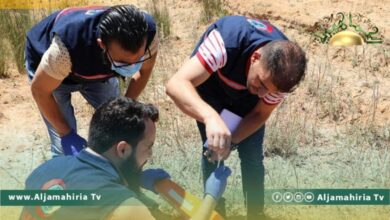 فريق من مكافحة الأمراض يزور قصر الأخيار للوقوف على ظهور حالات لسعات بعوض بالمنطقة