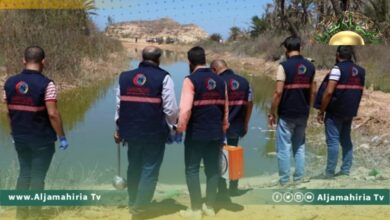 قصر الأخيار: الحكومة لم تستجب لنداءاتنا بالتصدي للبعوض بسبب جثث المهاجرين