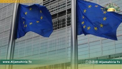 دعا المجلس الأوروبي للعلاقات الخارجية صُناع السياسة الأوروبيين للنظر إلى الاحتجاجات الحالية في ليبيا كفرصة نادرة للضغط من أجل إحداث التغيير في بيئة سياسية راكدة منذ فترة طويلة.