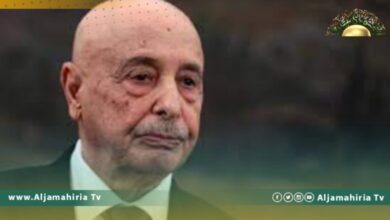 عقيلة صالح: حل المشاكل الراهنة هو إجراء الانتخابات ووقف التدخل الخارجي