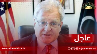 نورلاند: من الواضح أنه لا يوجد كيان سياسي واحد يتمتع بسيطرة مشروعة في جميع أنحاء ليبيا، وأي محاولة لفرض حل أحادي الجانب ستؤدي إلى العنف