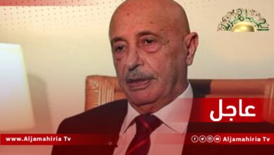 عاجل| صالح: تحريك المتظاهرين وتوجيههم إلى مقر مجلس النواب أمر تقف وراءه جهات داخلية وخارجية