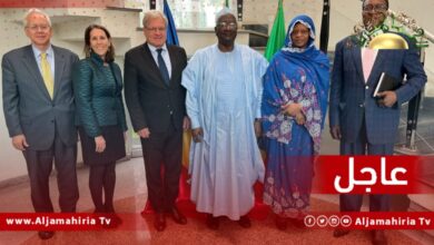 عاجل| السفارة الأمريكية: السفير لابين ونورلاند التقيا بنظرائهما من الدول الأعضاء في الاتحاد الإفريقي