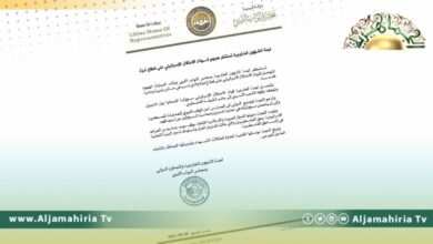 لجنة الخارجية بالبرلمان تستنكر الهجوم الإسرائيلي على غزة