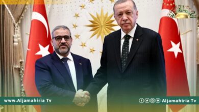 أردوغان والمشري يناقشان آخر مستجدات الأوضاع السياسية في ليبيا