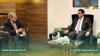 المنفي ونورلاند يبحثان سُبل دفع العملية السياسية للوصول للانتخابات وفق قاعدة دستورية توافقية