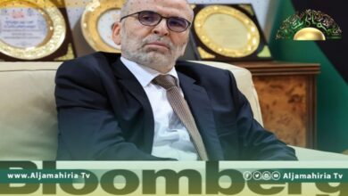 بولمبورج: صنع الله توجه لتركيا منذ طرده تحت تهديد السلاح