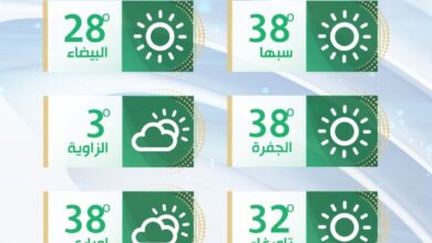الأرصاد الجوية: لاتغير يذكر في حالة الطقس ودرجات الحرارة في معدلاتها