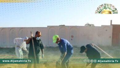 هيئة البحث والتعرف على المفقودين: ارتفاع عدد الجثث المتعرف عليها إلى 188 حالة