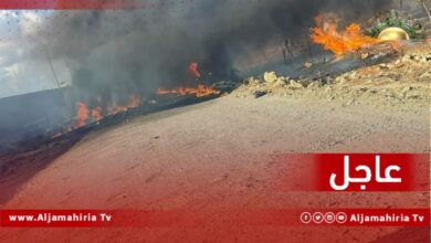 عاجل| إسقاط مسيرة تصوير مجهولة في منطقة المقزحة قرب مطار بنينا