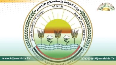 وزارة الزراعية المصرية: 63 ألف طن إجمالي الصادرات الزراعية إلى ليبيا