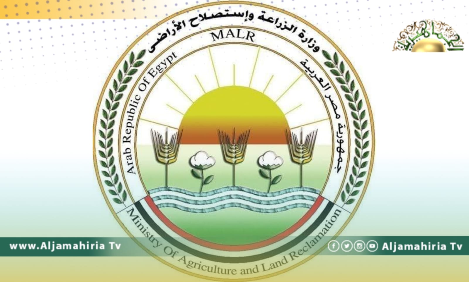 وزارة الزراعية المصرية: 63 ألف طن إجمالي الصادرات الزراعية إلى ليبيا