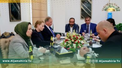 السفير الهولندي: ندعم استقرار ليبيا من خلال المصالحة وإجراء الانتخابات
