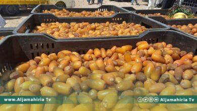 انطلاق سوق التمور بسوكنة وسط إقبال التجار من مختلف المدن الليبية