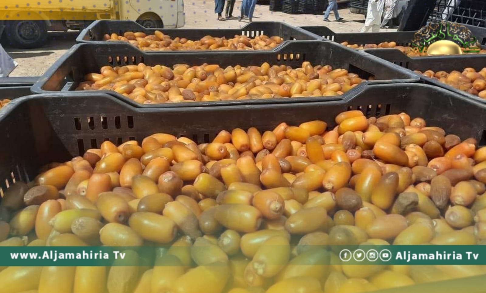 انطلاق سوق التمور بسوكنة وسط إقبال التجار من مختلف المدن الليبية