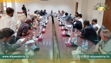 انعقاد اجتماع الجمعية العمومية للنقابة العامة للعاملين بالكهرباء بحضور إدارة الشركة 