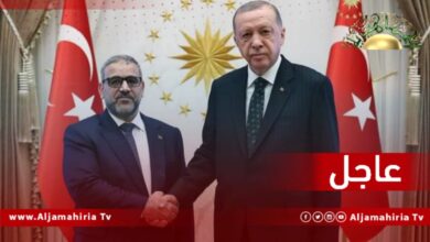 عاجل/ خالد المشري يبحث مع الرئيس التركي رجب طيب أردوغان في أنقرة تطورات الأوضاع في ليبيا