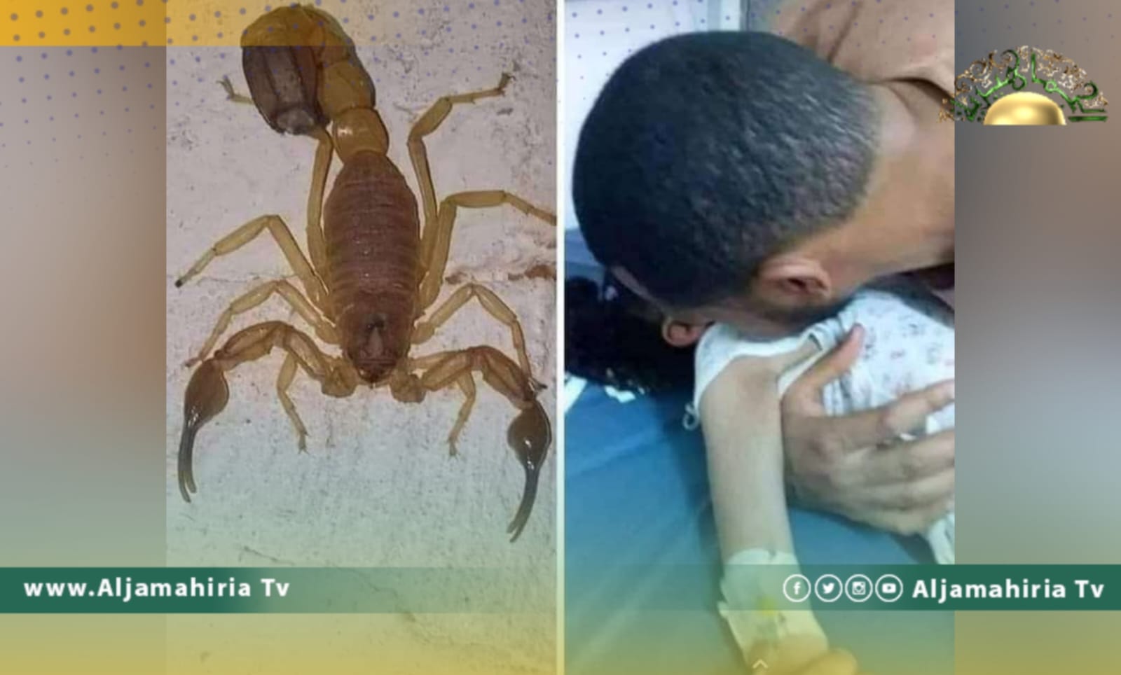 وسط إهمال حكومي لقطاع الصحة.. وفاة الطفلة فاطمة عبد الوهاب بلدغة عقرب