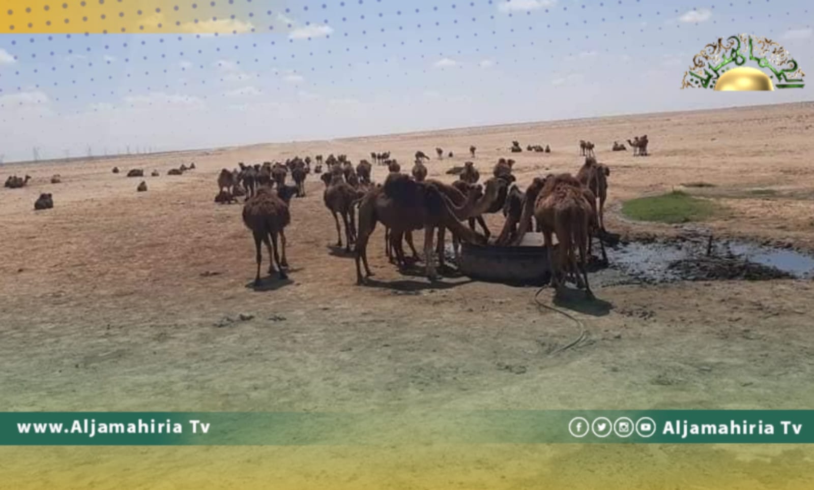 تعرض منظومة النهر الصناعي العظيم بالقرضابية لاعتداء من قبل أحد الرعاة