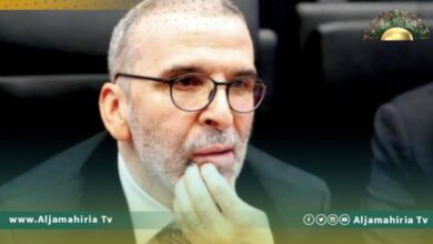صنع الله يكشف تفاصيل استيلاء الشريك الإماراتي على شركة ليركو