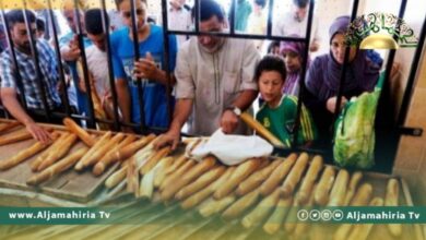 مركز الرقابة على الأغذية يعقد مؤتمرا بشأن استخدام برومات البوتاسيوم في الخبز