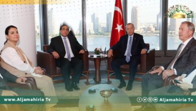 المنفي يلتقي أردوغان في نيويورك.. وهذه هى الأجندة