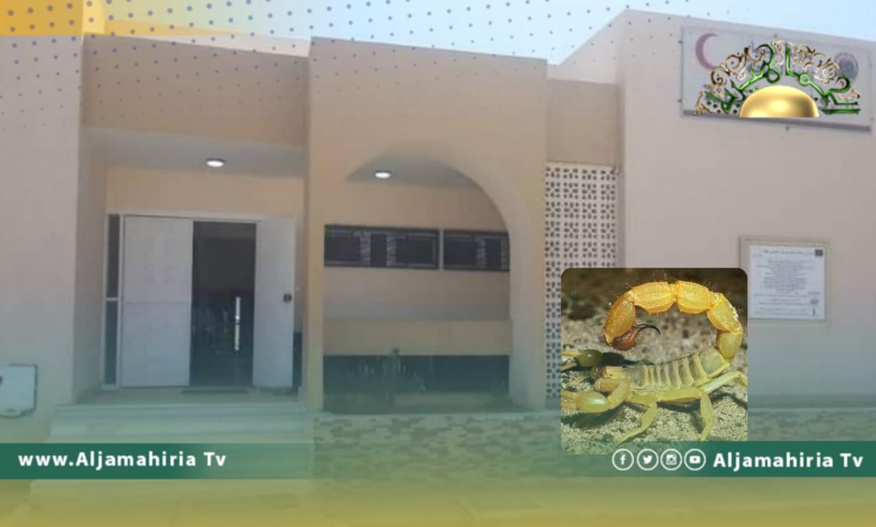 المركز الصحي تهالة: 7 حالات جديدة مصابة بلدغ العقرب وليست هناك أي إمكانيات