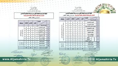 إدراج اللغتين التباوية والأمازيغية ضمن مناهج مرحلة التعليم الأساسي