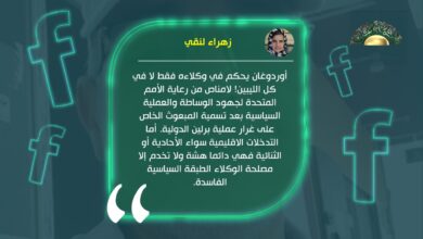 لنقي: أوردوغان يحكم وكلائه في ليبيا وليس كل الليبيين