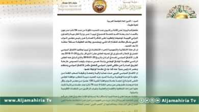 أعضاء بمجلس النواب يدعون الجامعة العربية لبذل الجهود من أجل إجراء الانتخابات العامة