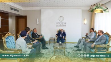 المشري وبوتشينو يؤكدان أهمية إجراء الانتخابات في أقرب الآجال