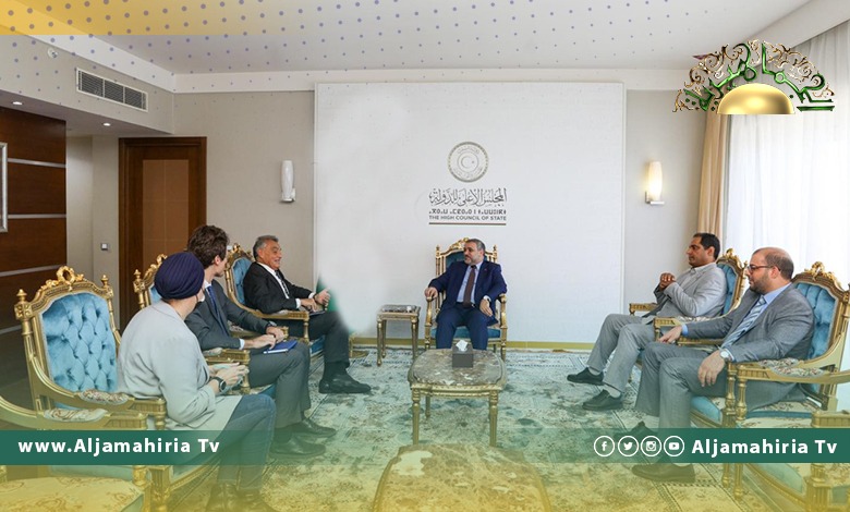 المشري وبوتشينو يؤكدان أهمية إجراء الانتخابات في أقرب الآجال