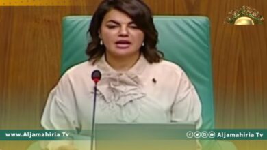 المنقوش تعلق على انسحاب شكري من اجتماع مجلس وزراء الخارجية العرب