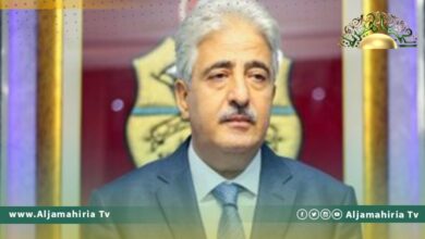 وزير دفاع تونس: دورنا في ليبيا ينحصر في المساعدة على تحقيق الاستقرار