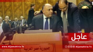 وزير الخارجية المصري