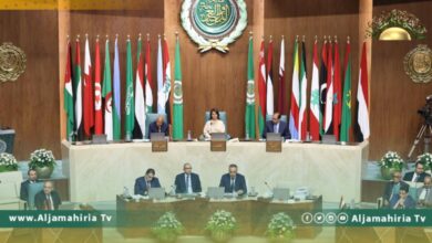 وزيرة الخارجية تدعو الدول العربية لتحمل مسؤولياتها لمواجهة التحديات التي تواجه المنطقة