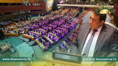 المنفي يشارك في قمتي التعليم والتنمية المستدامة