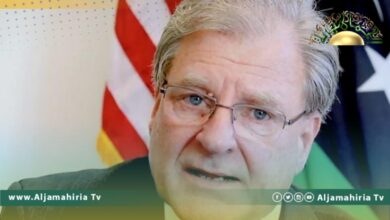 نورلاند يؤكد دعم بلاده والشركاء الدوليين في دعوة الأطراف الليبية للحوار